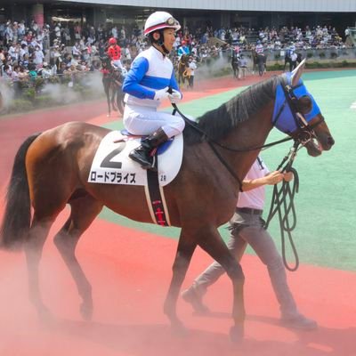 ロード,DMM,YGG,ウイン入ってます🙋♂️
アイコン:初めての命名馬🐴💝🔰
https://t.co/sp54KLcQVj
特技は手の平くるくるです😆
よろしくお願いいたします🙇
⬇POG