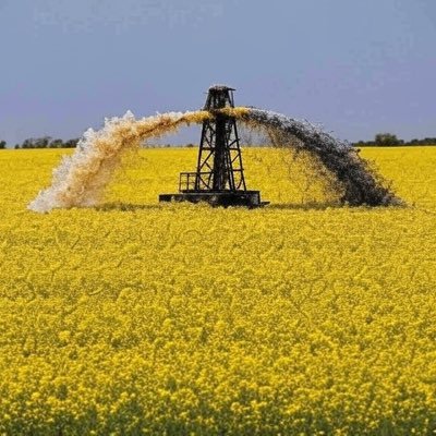 edmonton seed oilers Profile