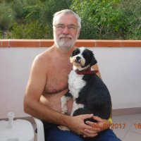 Peter King (@peterking166285) 's Twitter Profile