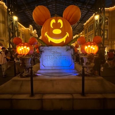 🇯🇵/Tokyo/Age27/Disney/Pixar/StarWars/Marvel/Fox/DLR/WDW/TDR🏰🌋/DLP/HKDL/SHDL/Aulani/DCL/D23💳/follow me!