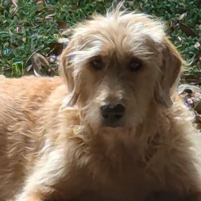 🇱🇷Anonima🇱🇷 Profile