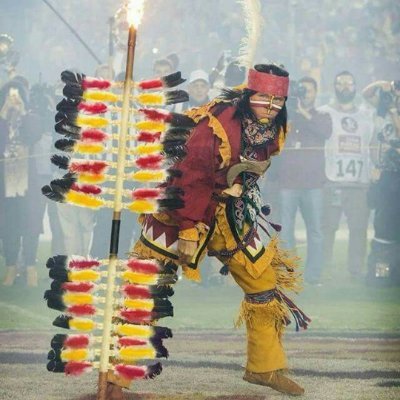 die hard florida state seminole
bleeds garnet & gold -throwing spears and drinking beers dressed in my garnet and gold
die hard boston sports fan