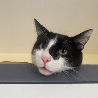 Öylesine (@xtroy74) Twitter profile photo