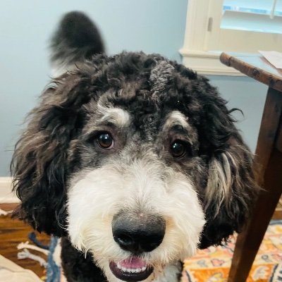 LJariusEnjoyer's profile picture. 