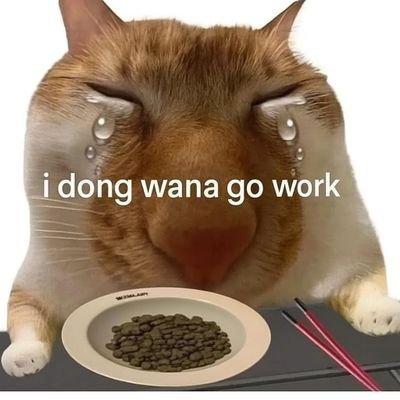 แซ๋วม่อนさんのプロフィール画像