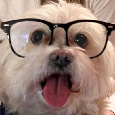Streamer, Trader, Entertainer. ©️ (English/German) https://t.co/lPzmBkJC00 / https://t.co/TOhMGhOywq