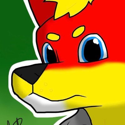 Fletcher π»π³ Profile