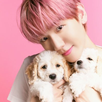 shybbyhoo's profile picture. +013, exo, bl. ❤️‍🩹