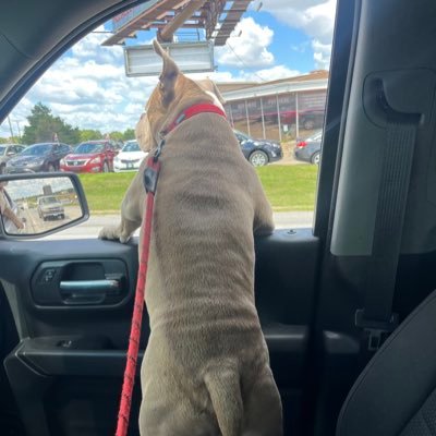 GrizzlyMane_'s profile picture. a man that just stays to himself. with an old cvlt mentality. detached
