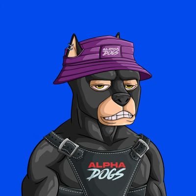 Web3 & NFT Enthusiast | ApeChain Supporter | Airdrop Hunter
Building the future of crypto.Let’s connect!
#NFT#Crypto @ApeChain_Africa @Froglings @ApeAlphaDogs