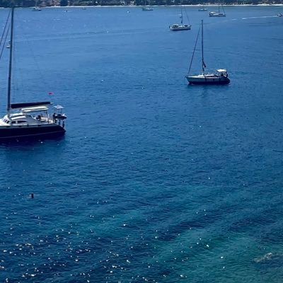 BaloBlanka's profile picture. 