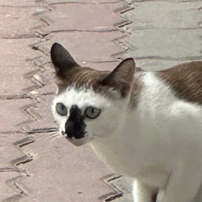 talkxicth's profile picture. 