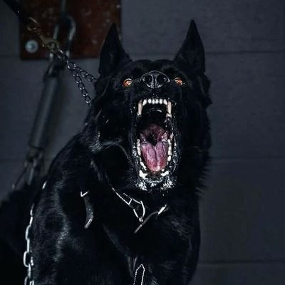 4Yane3's profile picture. 𝐓𝐡𝐞𝐫𝐞 aren't 𝐚𝐧𝐲 𝐬𝐨𝐮𝐧𝐝, 𝐚𝐧𝐲 𝐦𝐮𝐬𝐢𝐜, 𝐚𝐧𝐲 𝐜𝐡𝐚𝐧𝐭 𝐭𝐡𝐚𝐭 𝐜𝐚𝐧 𝐦𝐚𝐤𝐞𝐬 𝐦𝐞 𝐜𝐚𝐥𝐦 𝐮𝐧𝐥𝐞𝐬𝐬 𝐲𝐨𝐮𝐫 𝐬𝐜𝐫𝐞𝐚𝐦𝐬