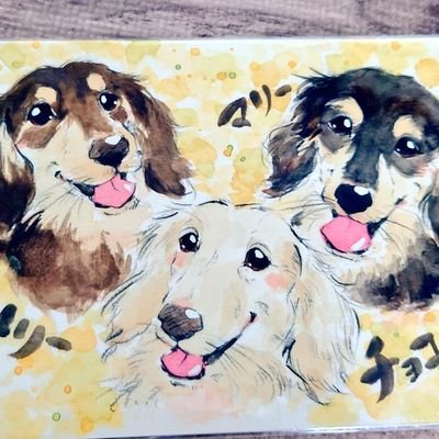 マリー♀推定11歳(ブラック)🐕 チョコ ♀9歳(クリーム)🐕 メリー♀推定5歳(チョコレート)🐕 3匹みんな保護犬です😊
を家族に迎えて夫婦二人と賑やかに暮らしてます☺️ 無言フォローすいません🙇
イイねやコメント、ありがとうございます😊