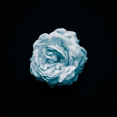LTTT719822's profile picture. Java