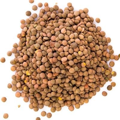@Lentils80