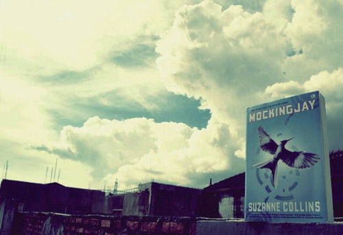 The first Indonesia based fanbase account for The Hunger Games trilogy. May the odds be ever in your favor!