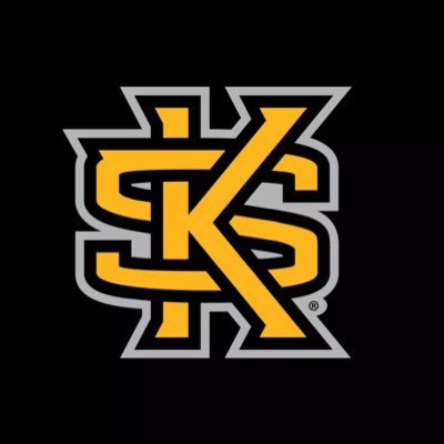 @ksuwbbflysilent