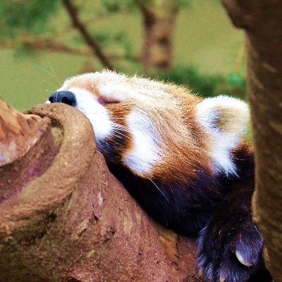 shinjhg's profile picture. 経理/デザイン 3児の父。ゲーム、読書、ピアノ好き。仕事をおもしろくするためのブログ「Anotherday」運営中→ https://t.co/IiUEomHL5l