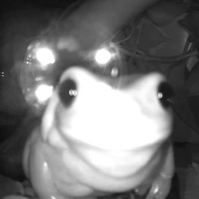 iheartboytiddy's profile picture. he/him | 🔞 writer, minors begone, yadda yadda | 🦋 @ WobbegongSong Banner by pears-palette on Tumblr!