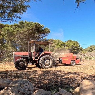 bigbakersman's profile picture. Come see, come saw