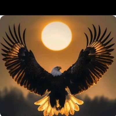AlshlwyBdr34311's profile picture. 