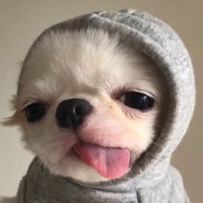 saquenlafiesta's profile picture. 🫦