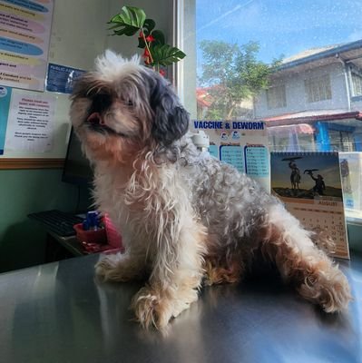 eelcram's profile picture. blah!