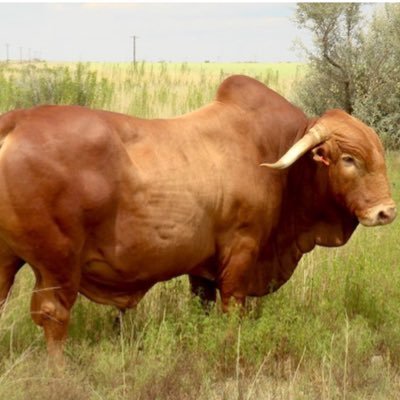 Xxxj594845Xxxj's profile picture. 