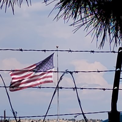 go_banned's profile picture. 