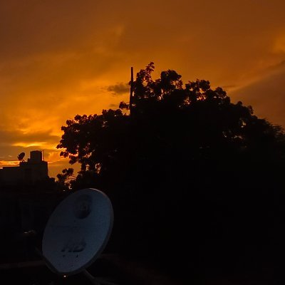 pranshu_kirar's profile picture. 