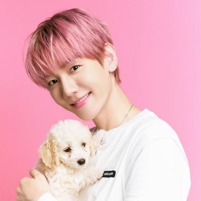 ♡⛧。˚❀ full-time baekhyun enjoyer, part-time human ♡ 𓇼⛧