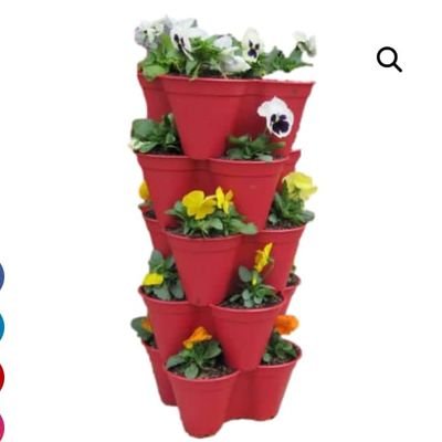 plastihouse's profile picture. 