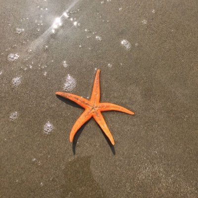 3345Tomlove's profile picture. 