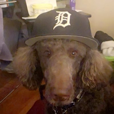 I might b in Detroit ..Cali …Vegas Snapchat stonekoldstoner