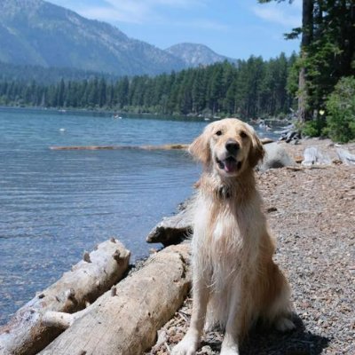 EliseMoonbeam's profile picture. 