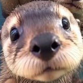 one1yo1's profile picture. 어디가서말못할이야기만가득