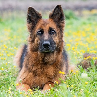ExpostReview's profile picture.