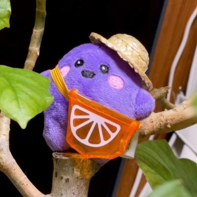 shin_bw's profile picture. 