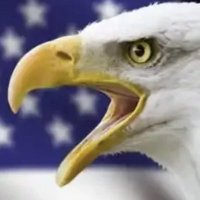🫅☮️🇺🇸 Ms Red State 🇺🇸👑❤️✝️ (@msredstate66) 's Twitter Profile