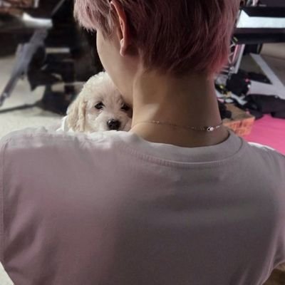 it's a perfect disaster 🥀 kpop and anime fan 🫧 bbh lover ✨