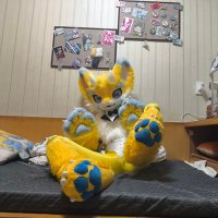 星夏只爱书齐 (@jiaxiaohai14) 's Twitter Profile