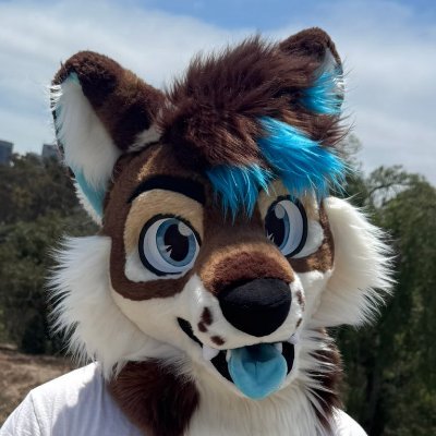 Coyote on the internet🌵 21 Smol 🏳️🌈 guy 🇻🇳Viet American 💚🐺Taken ✨Good Vibes and Good Company 💙 Rave Pubby 🎶 Jersey Club DJ 🎧 @wolf_daz suiter!