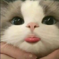BB (บูบู) smile💫 (@mmnnp6) 's Twitter Profile