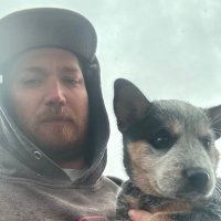 Jeff (@jeffjeff194956) 's Twitter Profile