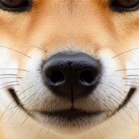 海賊女王キャプテン・ルビー (@pajp20bdpkli) 's Twitter Profile