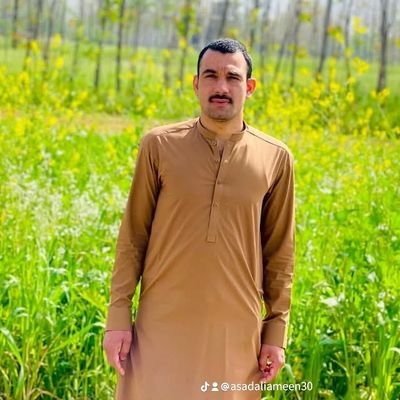 AsadAliameen1's profile picture. Asad ali