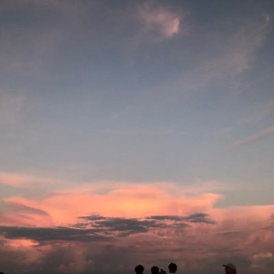 🇯🇵人/自国ファースト賛成/移民受け入れは制限設ける+移民犯罪者への法整備進めてからなら賛成/外国による土地購入規制及びスパイ防止法賛成/やや右寄り/フォロバ100