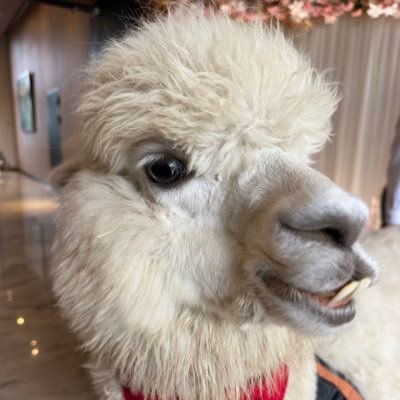 start19881013's profile picture. 不是沒有六塊肌，只是它藏在脂肪下😉 2025年2月開始回歸健身房，體重103.8公斤，體脂30.2 📅12月份體重93.3，體脂25.2