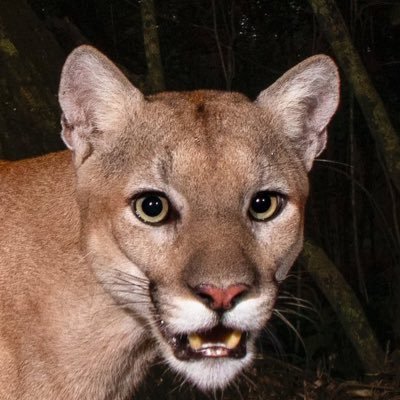 GMahlBeats's profile picture. hahaha